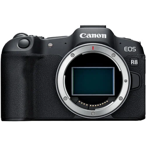 Does the Canon R8 Mirrorless camera have audio input and output options?